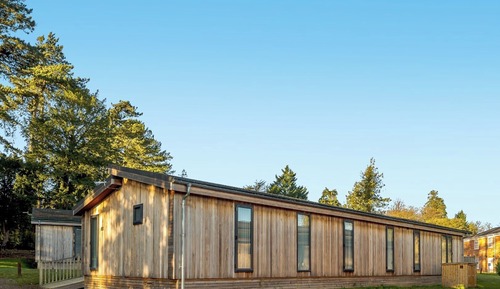 Habitación estándar, varias camas, no fumadores, cocina