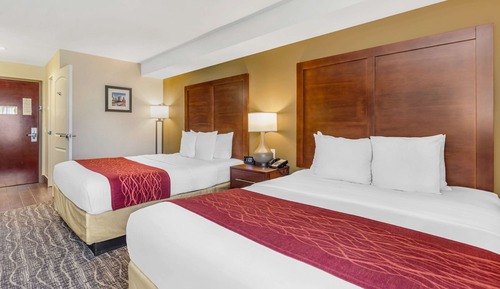 Habitación estándar, 2 camas de matrimonio, no fumadores