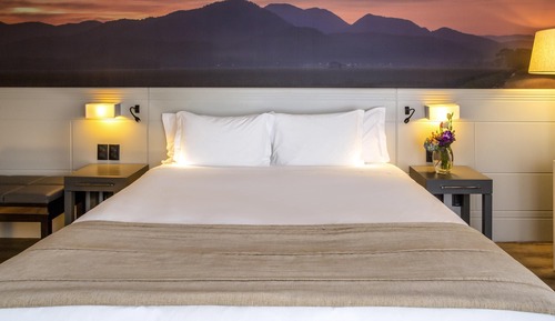 Habitación estándar, 1 cama de matrimonio grande con sofá cama