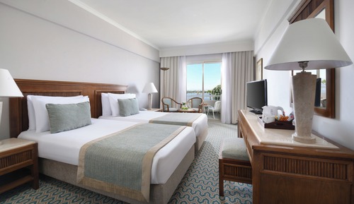 Superior Queen or Twin Bed