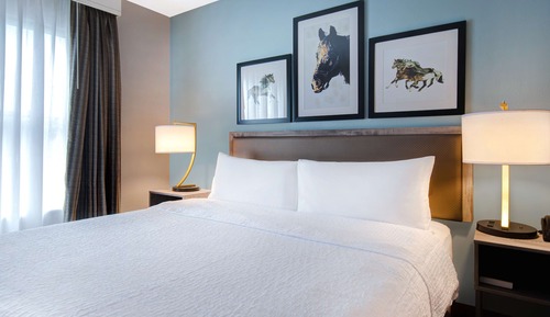 Suite estudio, 1 cama de matrimonio grande con sofá cama