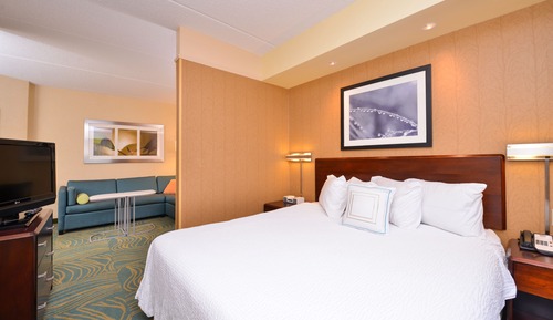 Estudio, 1 cama de matrimonio grande con sofá cama