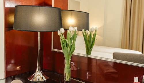 Habitación Confort con 1 cama doble o 2 individuales