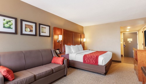 Habitación, 1 cama de matrimonio grande, no fumadores (2 Person Sofa Bed)