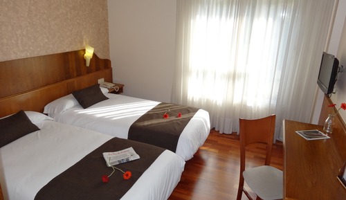 Habitación estándar con 2 camas individuales