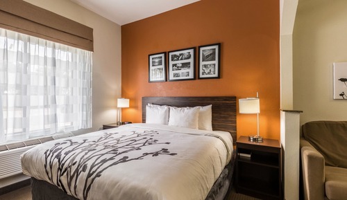 Suite, 1 cama de matrimonio grande con sofá cama, accesible para personas con discapacidad