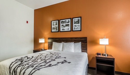 Habitación estándar, 1 cama de matrimonio grande, no fumadores