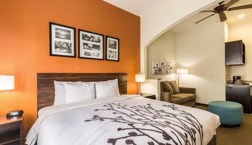 Suite, 1 cama de matrimonio grande con sofá cama, no fumadores