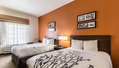 Habitación, 2 camas de matrimonio, accesible para personas con discapacidad, no fumadores