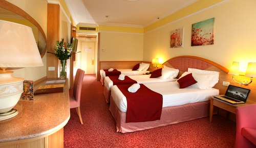 Classic Triple Room - Hotel
