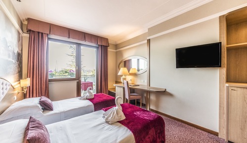 Classic Double or Twin Room (Hotel)