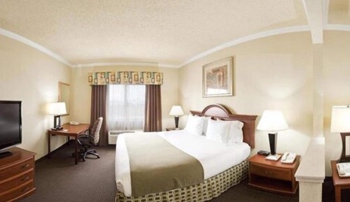 Habitación estándar, 1 cama de matrimonio grande (Communications, Roll-In Shower)