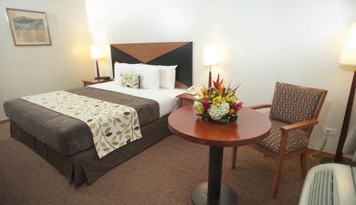 Habitación estándar, 1 cama de matrimonio grande, no fumadores