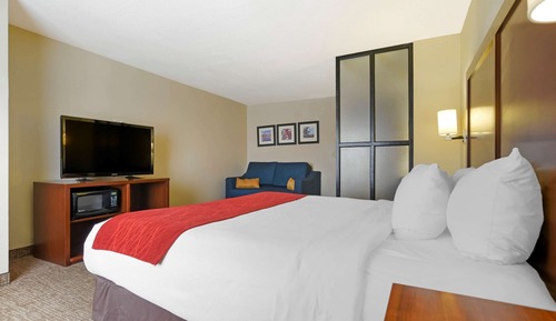 Suite, 1 cama de matrimonio grande con sofá cama, accesible para personas con discapacidad