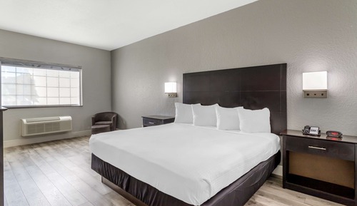 Habitación estándar, 1 cama de matrimonio grande, no fumadores, frigorífico y microondas