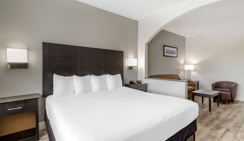 Suite, 1 cama de matrimonio grande, no fumadores, frigorífico y microondas (with Sofabed)