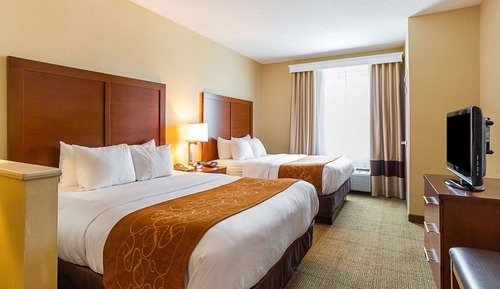 Suite, varias camas, no fumadores (with Sofa Bed)