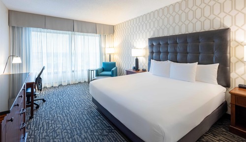 Habitación Deluxe, 1 cama de matrimonio grande, frigorífico y microondas