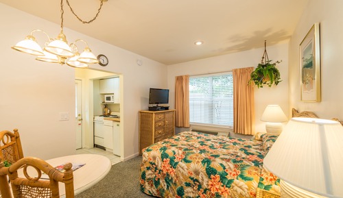 Habitación estándar, 1 cama de matrimonio (Efficiency Room 20)