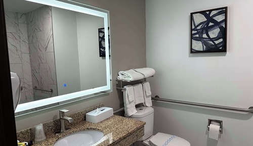 Habitación estándar, 1 cama de matrimonio, accesible para personas con discapacidad