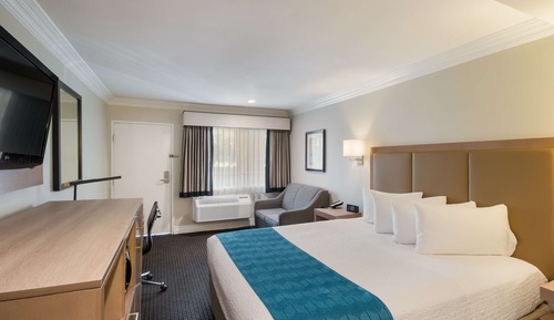 Habitación estándar, 1 cama de matrimonio grande, no fumadores, frigorífico y microondas