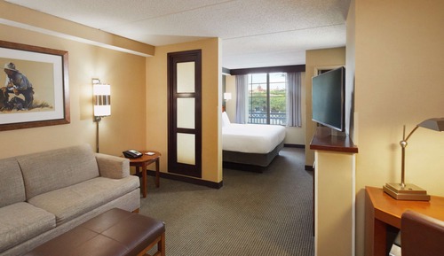 Habitación estándar, 1 cama de matrimonio grande