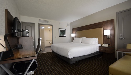 Habitación estándar, 1 cama de matrimonio grande, ducha adaptada (Mobility)