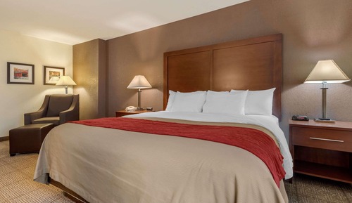 Habitación estándar, 1 cama de matrimonio grande, no fumadores