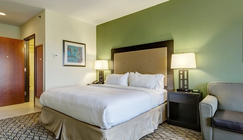 Habitación estándar, 1 cama de matrimonio grande (Communications, Roll-In Shower)