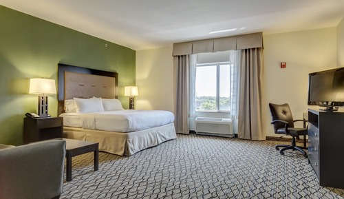 Habitación estándar, 1 cama de matrimonio grande (Communications, Accessible Tub)