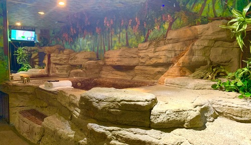 Suite Deluxe, 1 cama de matrimonio grande