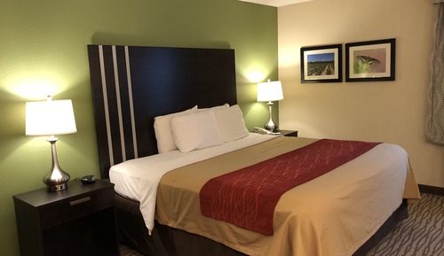 Habitación estándar, 1 cama de matrimonio grande, no fumadores