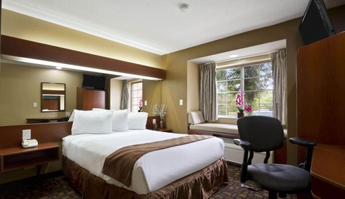 Suite estudio Deluxe, 1 cama de matrimonio, no fumadores