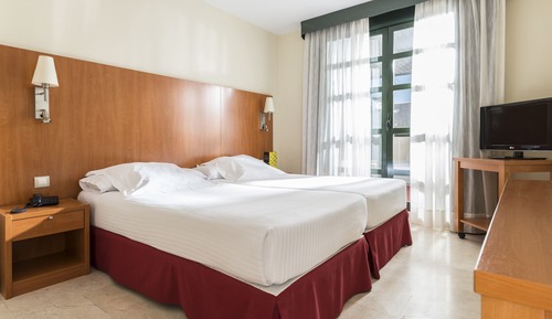 Habitación estándar con 1 cama doble o 2 individuales