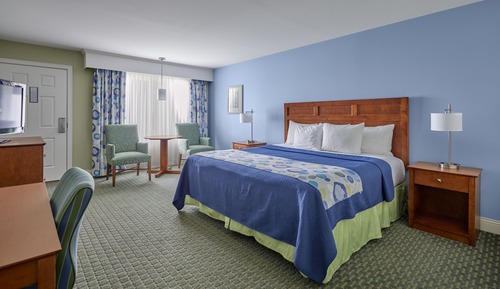 Habitación Premium, 1 cama de matrimonio grande