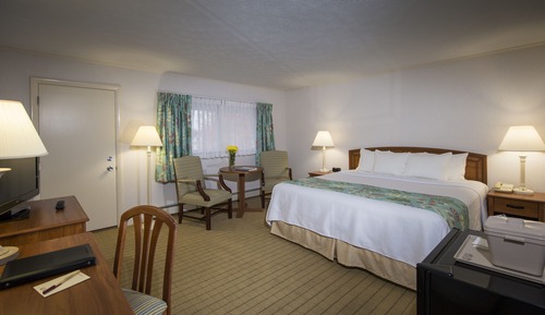 Habitación estándar, 1 cama de matrimonio grande