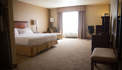 Suite, 1 cama de matrimonio grande (Communications, Roll-In Shower)