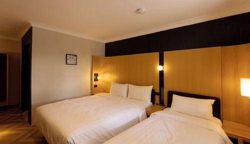 Habitación ejecutiva con 2 camas individuales