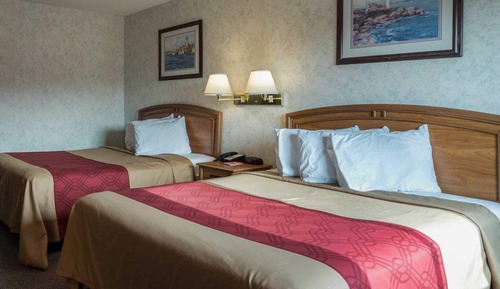 Habitación estándar, 2 camas de matrimonio, no fumadores