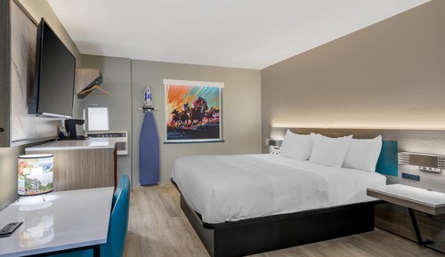 Habitación estándar, 1 cama de matrimonio grande, no fumadores