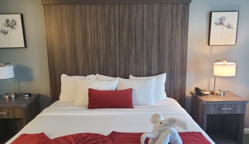 Habitación ejecutiva