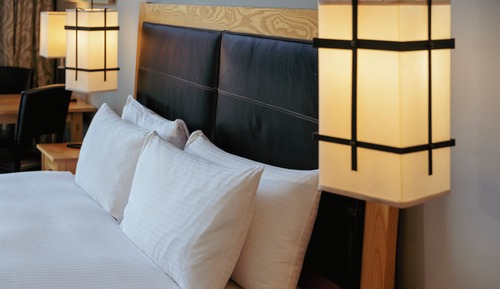 Ocean King (Pet Friendly)