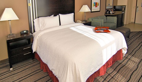 Suite estudio, 1 cama de matrimonio grande con sofá cama