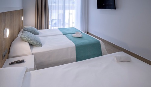 Habitación Triple estándar (3 adultos)