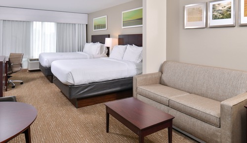 Suite, 1 cama de matrimonio grande con sofá cama (Mobil, Tub)