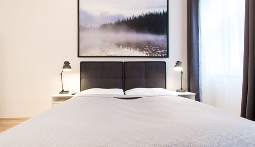 Apartamento estándar, 1 cama de matrimonio, cocina