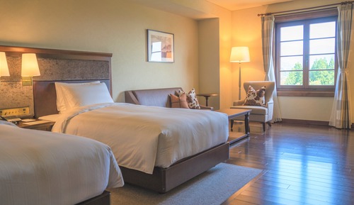 Habitación Deluxe con 2 camas individuales