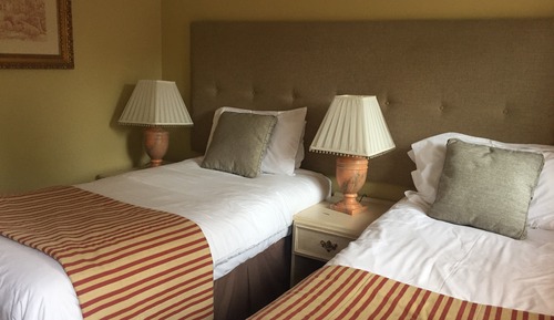 Habitación con 1 cama doble o 2 individuales, baño privado