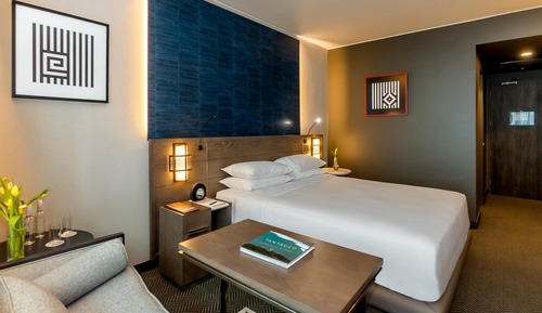 Habitación, 1 cama de matrimonio grande, accesible para personas con discapacidad (Shower)