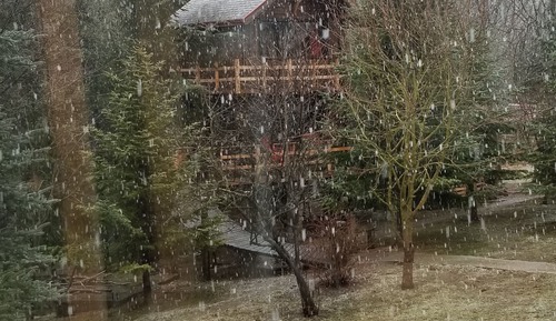 Casa en un árbol familiar, 1 habitación, balcón, vistas a la montaña